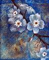 Forget Me Not